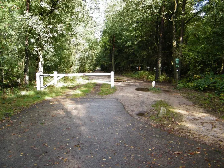 Paaltje bij daglicht